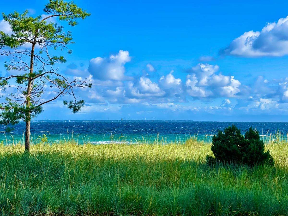 Goldmaedchen 93 - Beach House Timmendorfer Strand Exterior foto